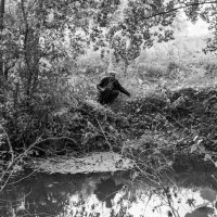 Рыбак :: Владимир Иванович Рыбак :: Владимир Иванович