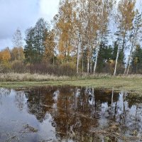 October mirror :: silvestras gaiziunas gaiziunas