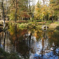 осень :: ИННА ПОРОХОВА