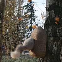 Посмотрю только , что там ! ) :: Мила Бовкун