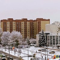 Такого снегопада давно не видно этой осенью . 4 октября . :: Мила Бовкун