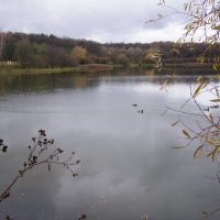 Пейзаж с утками и репейником :: Анна Воробьева