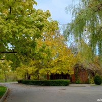 Октябрь в ростовском зоопарке :: Нина Бутко Октябрь в ростовском зоопарке :: Нина Бутко