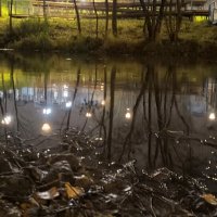 Отражение фонарей на водной глади реки :: Ann 