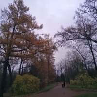 Осень :: Сапсан 