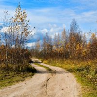 Осень в конце октября. :: Милешкин Владимир Алексеевич 