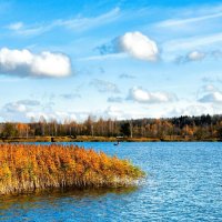 Озёра Смоленщины. :: Милешкин Владимир Алексеевич 