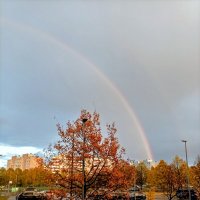 Радуга октября :: Veera V