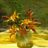 Солнечный букетик.. :: nadyasilyuk Вознюк Солнечный букетик.. :: nadyasilyuk Вознюк
