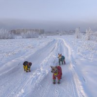 Утро :: Anna Ivanova Утро :: Anna Ivanova