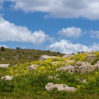 Лаго-Наки :: Игорь Сикорский