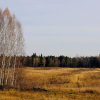 В концце октября :: Галина Кан