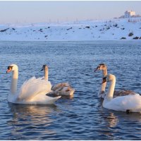 На реке.... :: Sergey (Apg)