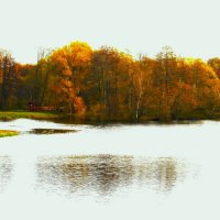 ЗОЛОТАЯ ОСЕНЬ :: Валентина 