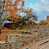 Прогулки по улицам Выборга. :: Лия ☼