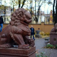 Львы, охраняющие буддийский храм «Дацан Гунзэчойнэй» :: Магомед . Львы, охраняющие буддийский храм «Дацан Гунзэчойнэй» :: Магомед .