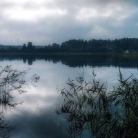 ...туманное утро.! :: Павел Курков