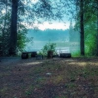 ...туманное утро 4.! :: Павел Курков