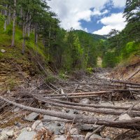 Уч-Кош :: Sergey Bagach