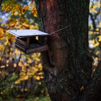 Про позднюю осень... :: Влад Никишин