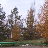 Осенний сквер. :: сергей ермошкин Осенний сквер. :: сергей ермошкин