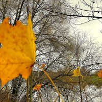 ***по порядку рассчитайтесь*** :: Olga Oskolkova