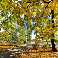 В осеннем парке :: Irene Irene