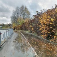 Осенний пейзаж :: Леонид Иванчук