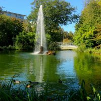 У озера :: Юрий. Шмаков