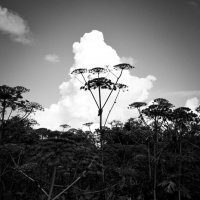 Фотография :: Денис Безногов