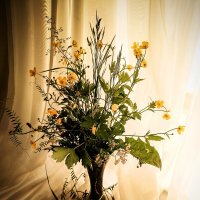 Букет из лесных трав :: Любовь Сахарова