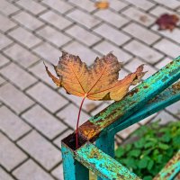 Ржавая осень :: Валерий Иванович