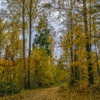 Осеннее :: Сергей Цветков