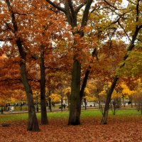 С последним днём ОКТЯБРЯ. :: Татьяна Помогалова