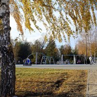 Прощание с октябрём - шагаем в предзимье :: Татьяна Лютаева