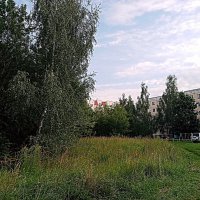 Лето в Мценске. :: Владимир Драгунский Лето в Мценске. :: Владимир Драгунский