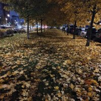 31.10 :: Андрей 