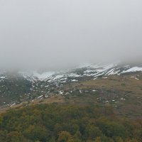 Туман! :: Вен Гъновски