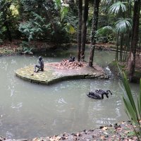 Осень в дендрарии :: Ольга 