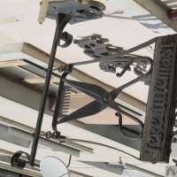 ......... :: Елена Шаламова