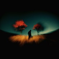 *** :: Евгений Нодвиков