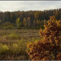 Октябрь уходит :: Aleksandr Gal Октябрь уходит :: Aleksandr Gal