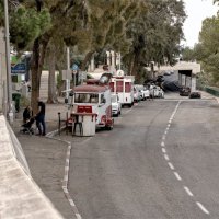 Израиль * Хайфа *2025 :: ujgcvbif 