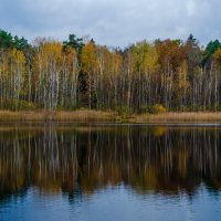 __ :: Галина Ложечникова