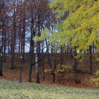 Осенний парк :: Дмитрий И_