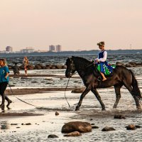 юная наездница :: navalon M