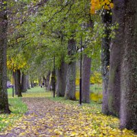 Свидетели столетия :: liudmila drake