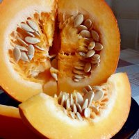 С Тыквенным Спасом ! :: Galina Solovova С Тыквенным Спасом ! :: Galina Solovova