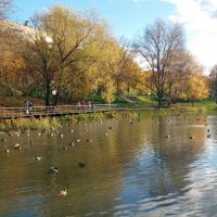 Ушел вчерашний день. 30.10.25г :: Galina Solovova Ушел вчерашний день. 30.10.25г :: Galina Solovova