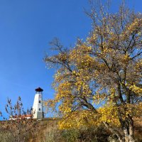 Маяк :: Оксана Новик 